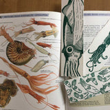 Squid Bookmarks, 3x lino prints