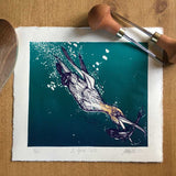 Diving Gannet, limited edition multiblock lino print