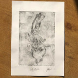 Squid (Inky Depths), dry point print