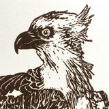 Osprey with prey, lino print