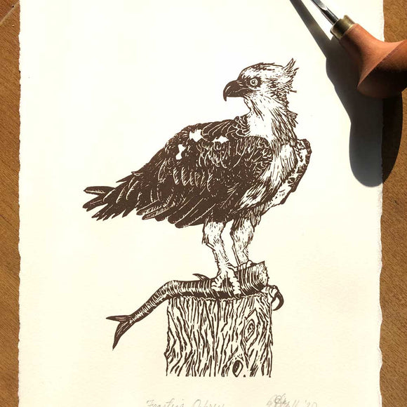 Osprey with prey, lino print